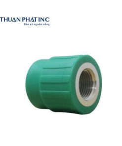 Nối thẳng ren trong PPR