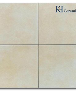 Gạch bông Trung Quốc 20x20cm F2290