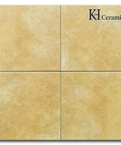 Gạch bông Trung Quốc 20x20cm F2291