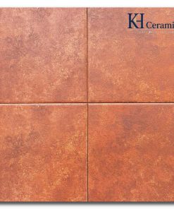 Gạch bông Trung Quốc 20x20cm F2304