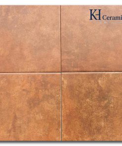 Gạch bông Trung Quốc 20x20cm FG2293