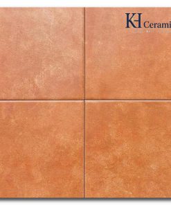 Gạch bông Trung Quốc 20x20cm FG2294