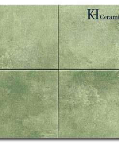 Gạch bông Trung Quốc 20x20cm H2228