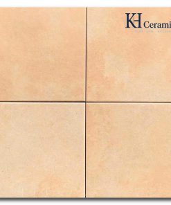 Gạch bông Trung Quốc 20x20cm H2231