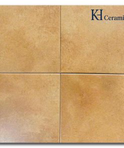 Gạch bông Trung Quốc 20x20cm H2232