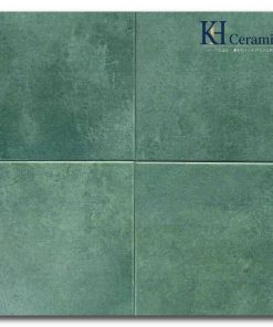 Gạch bông Trung Quốc 20x20cm H2234