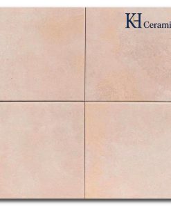 Gạch bông Trung Quốc 20x20cm H2235
