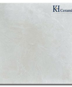 Gạch Trung Quốc 100x100cm 10005R
