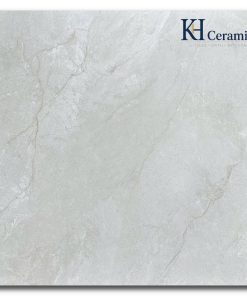 Gạch Trung Quốc 100x100cm 10238R