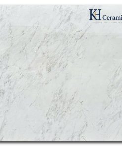 Gạch Ấn Độ 100x100cm Carara White