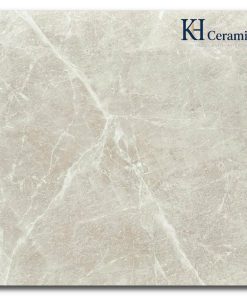 Gạch Ấn Độ 100x100cm Gem Grey
