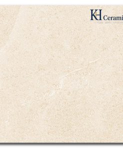 Gạch Eurotile 60x60cm NGC H04