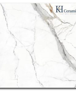 Gạch Eurotile 120x120cm Phong Lưu PHL S01P