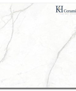 Gạch Eurotile 120x120cm Phong Lan PLA S01H
