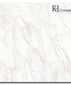 Gạch Eurotile 120x120cm Thu Phong THP S01M