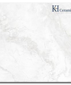 Gạch Eurotile 120x120cm Thạch Sơn THS S01P