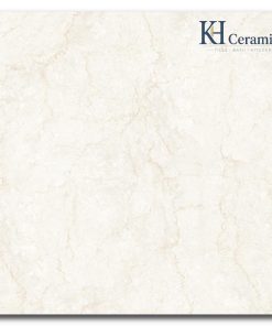 Gạch Eurotile 120x120cm Thanh Tâm THT S04P